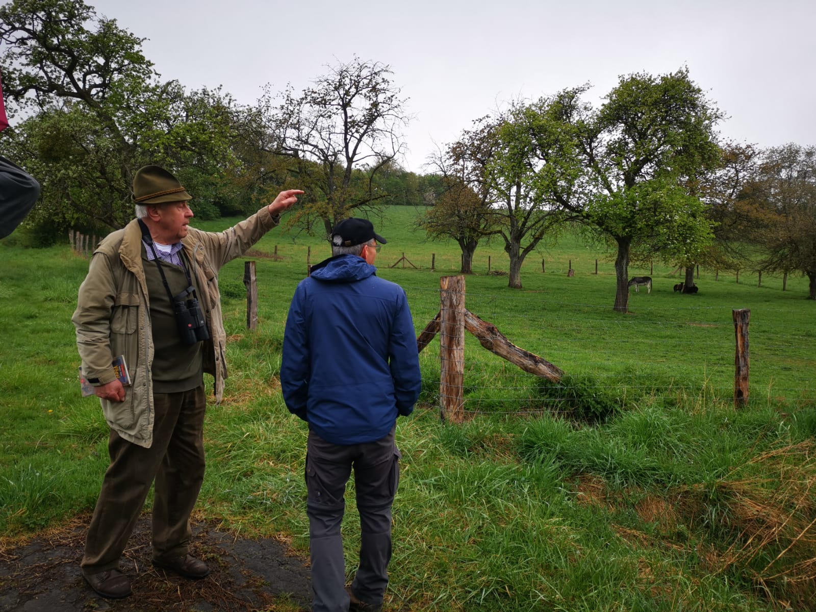 WhatsApp Image 2022-04-29 at 11.56.58.jpeg